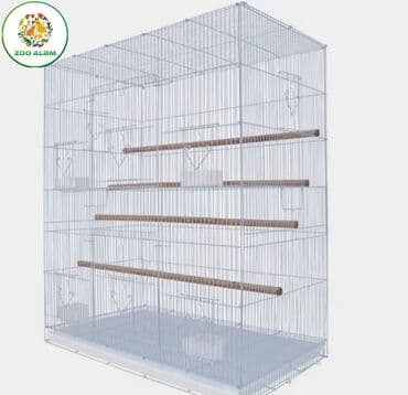 pişik yem qabı: Tutuquşu qəfəsi (valyer) — 4