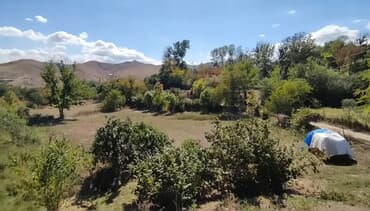 40 sot, Kənd təsərrüfatı, Mülkiyyətçi, Kupça (Çıxarış)