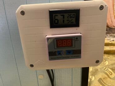 arpa toxumu satışı: 120 dene toyuğ 100 ördəy 50qaz 250bildirçin yumurtası gedir tezedir — 5