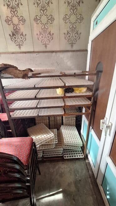 Yem üyüdən aparatlar: Bütün növ quşlaq üçün — 4