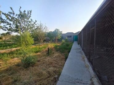 binə qəsəbəsi ats: 25 sot, Tikinti, Kupça (Çıxarış) — 7