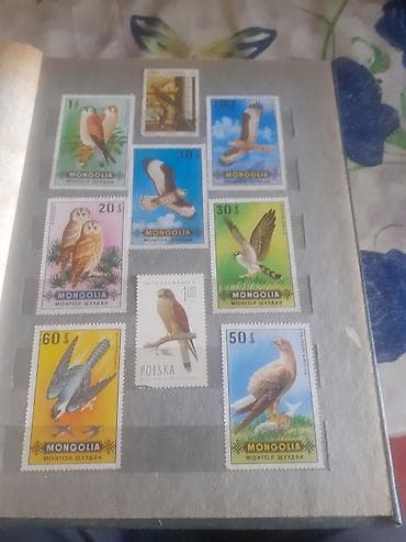 Марки: Filateliya albomu – müxtəlif ölkələrdən tematik markalar kolleksiyası — 10