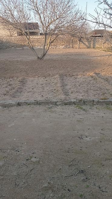 gunəsli: 8 sot, Tikinti, Mülkiyyətçi — 1