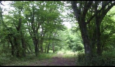 домики в набране: NABRAN. Torpaq sahəsi 20 sot (ELFARRO HOTELIN ARXASINDA) – — 4