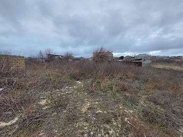 sumqayıtda: 22 sot, Kupça (Çıxarış) — 5