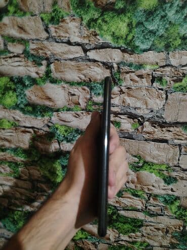 Apple iPhone: Honor — 7