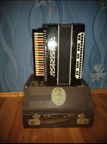 dynacord satilir: Akustik Akkordeon — 1