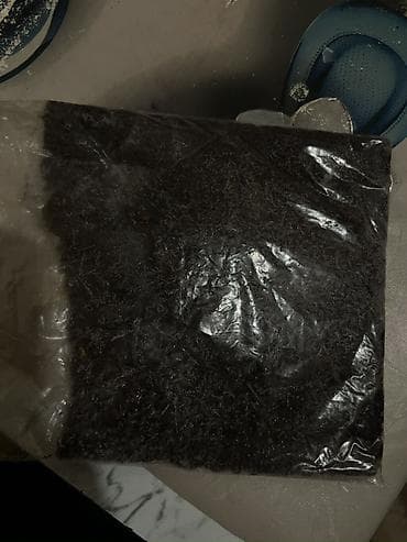 Balıqların inkişafı üçün yem Matil satılır