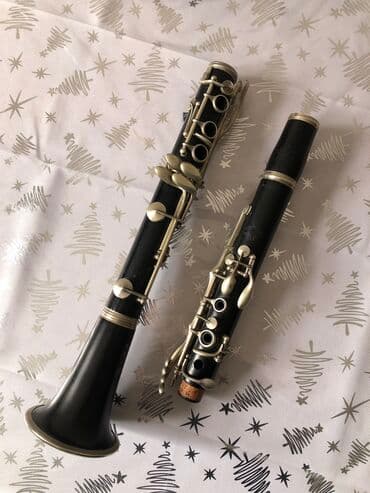 səs sistemi: B Klarnet almaniyadan yeni gelib heç bir problemi yoxdu, tam ideal — 1