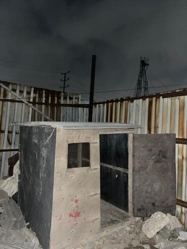 клетка для собак: Hem it evi hem de quș xana ücün yararlıdır — 3