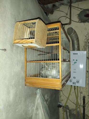 клетки для хомяков: Taxta quş qəfəsi - Material: təbii ağac çərçivə, metal barmaqlıqlar - — 1