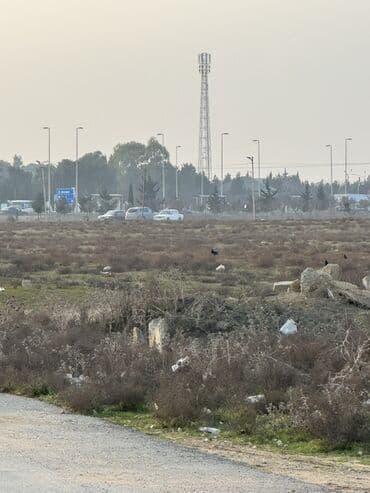 torpax sahesi: 100 sot, Biznes üçün, Makler, Kupça (Çıxarış), Texniki pasport — 1