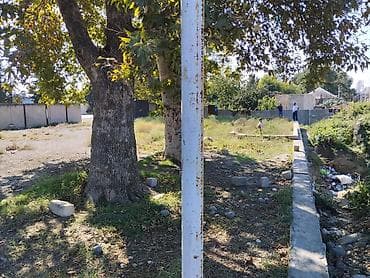 42 sot, Biznes üçün, Maklerlər narahat etməsin, Kupça (Çıxarış) — 7