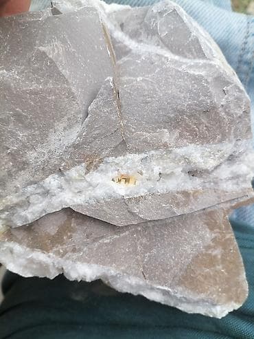 ev gülleri ve adları: Ağ kvars damarından çıxmış təbii kolleksiya nümunəsi - Material — 5