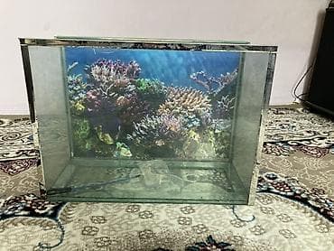 Dördbucaq akvarium, Boş, 90 l, Ünvandan götürmə