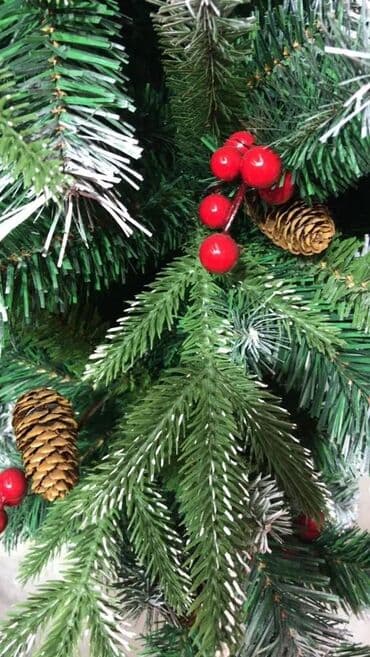 yolka şekili: Yolka — 3