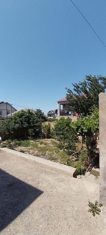umid qəsəbəsi: Kupça (Çıxarış) — 2