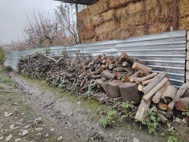 ucuz zebra perde: Bir qazeldən çox odundu hazır doğranmış odunlardı başqada odunlar var — 3