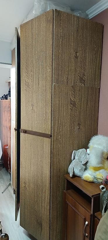 iskaf: 3 qapılı, Güzgülü, Qəhvəyi, Taxta, Açılan, Düz dolab — 1