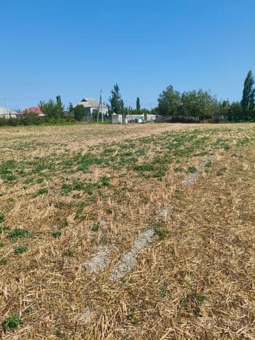 bağ evləri: Kənd təsərrüfatı — 2