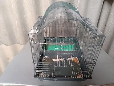 bülbül qəfəsi: Quş qəfəsi – iki bölməli, metal konstruksiya Məhsul təsviri: - — 4