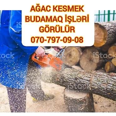 plastik kapi pencere: Ağac kesmek budamaq işləri görülür.🪚 Kotukleri səliqəli dogramaq qol — 1