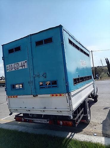 maşn 06: GAZelle yük maşını – heyvan daşıma üçün xüsusi kuzovlu Xüsusiyyətlər — 1