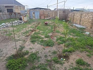 goycayda satilan ucuz evler: 2000 kv. m, 2 otaqlı, İşıq, Su — 5