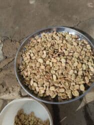 Sifarişlə hazır yeməklər: Başlıq: Paxla Təsvir: Təbii qurudulmuş paxla dənləri. Təmizlənmiş və — 1