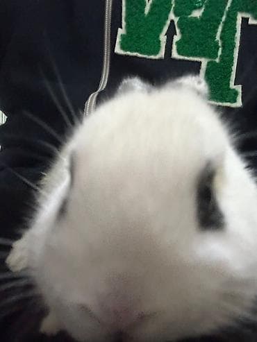 Təcili iş axtarılır. Namizəd Nərimanovda yaşayır, 25 yaşı var. Market lalafo.az -da Təcili iş axtarılır. Namizəd Nərimanovda yaşayır, 25 yaşı var. Market