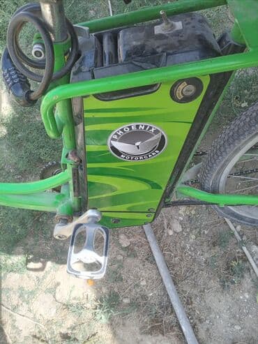 велосипеды с надувными колесами: Elektrikli velosiped – Phoenix Motorcars - Rəng: Yaşıl, dekorativ — 1