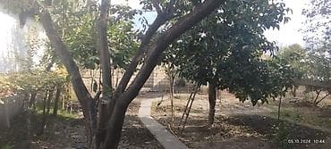 tal satışı: 3 otaqlı, 40 kv. m — 3
