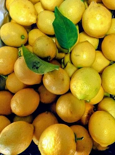 Super limon gəldi 🍋 📦 Qutuda 140 ədəd olur. Super limonlardır ( Boş