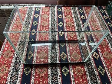 filter akvarium: Dördbucaq akvarium, Boş, 15 l, Ünvandan götürmə, Pulsuz çatdırılma — 2