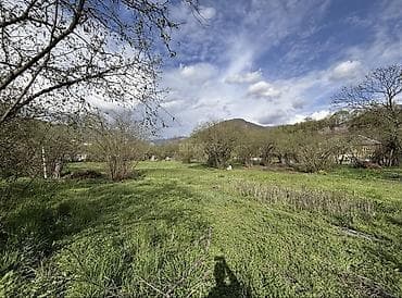 bilgeh ev satilir: Tikinti, Mülkiyyətçi, Kupça (Çıxarış) — 2