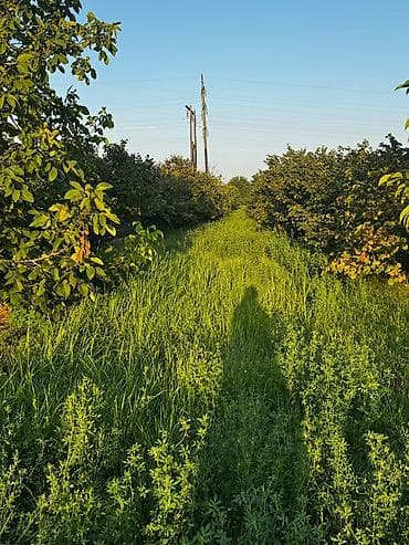 Torpaq sahələrinin satışı: 237 sot, Kənd təsərrüfatı, Mülkiyyətçi, Kupça (Çıxarış) — 10
