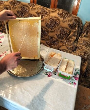 2 yaş tortları: Tebbi şamaxı balı 1 kqsi 35 azn Dağlardan getirilib tebbi çiçək — 6