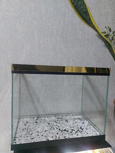 aqvarium: Qold Akvaryum çox gözəl görnüşə malikdi yenidi ölçü 35×22×29 bunan — 5