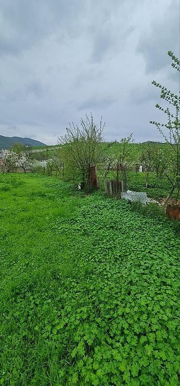 cıdır düzü: 12 sot, Tikinti — 3