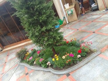 ищу работу садовник на дачу: Salam bağ evlərində, Abyektlərdə parklarda bağban xidməti görülür — 20