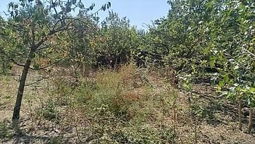 hovsanda torpag: 8 sot, Tikinti, Mülkiyyətçi, Kupça (Çıxarış) — 2
