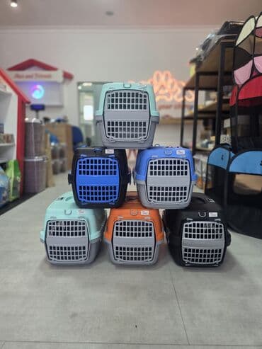 переноска для кошек баку: Pet daşıma qabı🐾 Taksilə çatdırılma xidmətimiz mövcuddur. Mağazamızda — 1