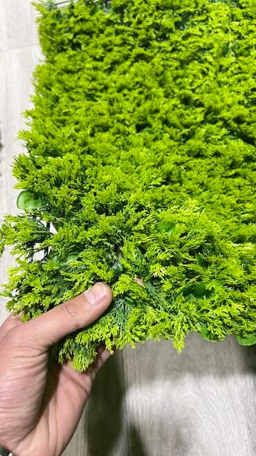 Depodanbi̇r başa satiş