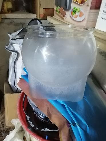 ev heyvanlar: Yumru akvarium, Boş, 5 l, Ödənişli çatdırılma — 2