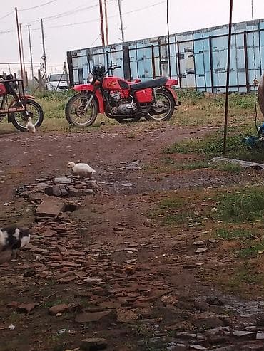 3 teker motor: - Qırmızı rəngli üçtəkərli motosiklet (yan qoşqulu) - Yan qoşqulu — 2