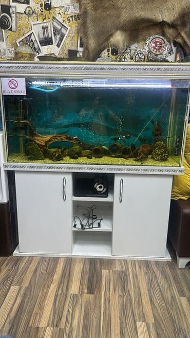 Bıçaqlar: Uzunu 120 eni 45 hunduru 61 qiyməti 280 azn nagd 300 azn kreditle — 2