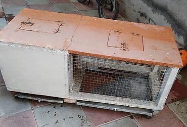 yemler: Ev heyvanları üçün taxta qəfəs - Material: taxta karkas, ön hissə — 1