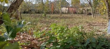 quba amsar: 4 sot, Maklerlər narahat etməsin, Kupça (Çıxarış) — 5