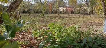 kiraye evler ecemi ucuz: 4 sot, Tikinti, Mülkiyyətçi, Kupça (Çıxarış) — 1