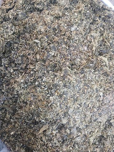 öz dadım broyler mmc: Qarğidali silosu (400-450kq ) qiyməti 60 manat. Ünvana çatdırılma var — 4